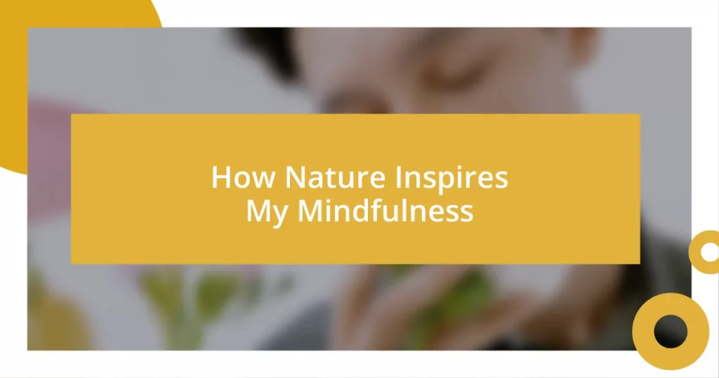 How Nature Inspires My Mindfulness