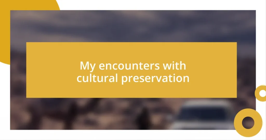 My encounters with cultural preservation