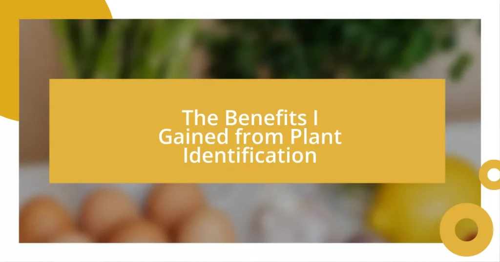 The Benefits I Gained from Plant Identification