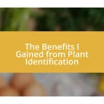 The Benefits I Gained from Plant Identification